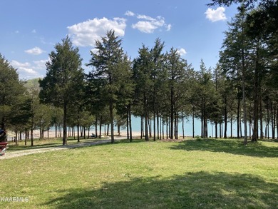 Incredibly rare investment opportunity on gorgeous Norris Lake! - photo 14