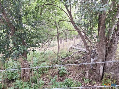 Waterfront - Dry Comal Creek - almost 2 acre lot close to - photo 14