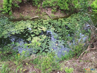 Waterfront - Dry Comal Creek - almost 2 acre lot close to - photo 17