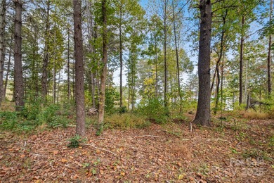 Welcome to The Waterfront Club - a premier gated community on - photo 20