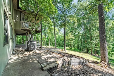 You have *got* to see this one! Tucked away in Bella Vista's - photo 28