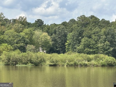 Lake Lot For Sale in Buckhead, Georgia