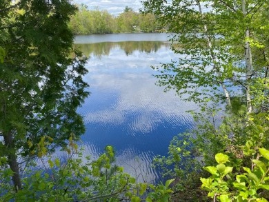 Peshtigo River Acreage For Sale in Crivitz Wisconsin