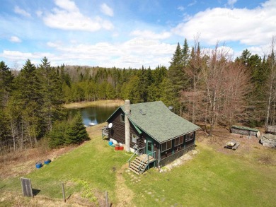 (private lake, pond, creek) Home For Sale in Sheffield Vermont