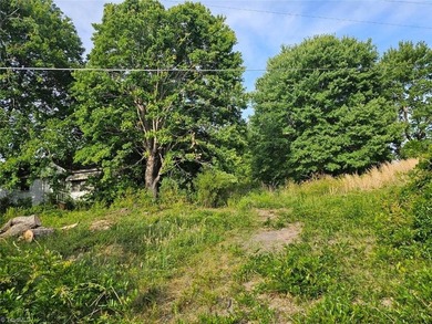 Rare opportunity to own 4.51 acres in Belews Creek with LB-S - photo 4