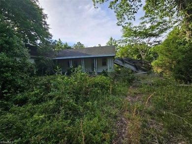 Rare opportunity to own 4.51 acres in Belews Creek with LB-S - photo 6