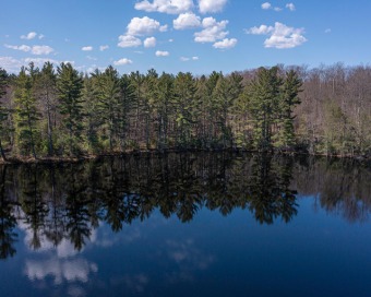 5.12 Wooded Acres on Swan Lake with 567' of Frontage - Lake Acreage For Sale in Minocqua, Wisconsin