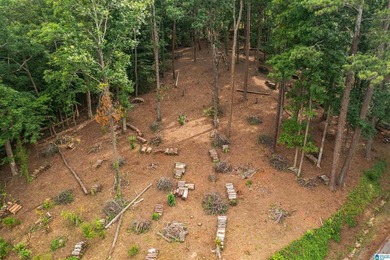 Located in the Highland Lake community in Oneonta, this 1.7 +/- - photo 12