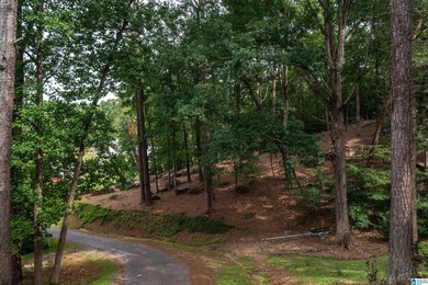 Located in the Highland Lake community in Oneonta, this 1.7 +/- - photo 13