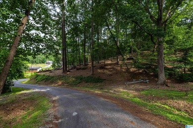 Located in the Highland Lake community in Oneonta, this 1.7 +/- - photo 14