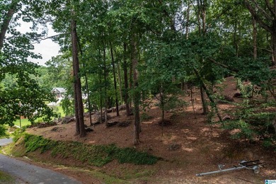 Located in the Highland Lake community in Oneonta, this 1.7 +/- - photo 15