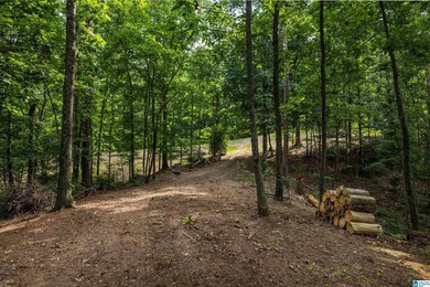 Located in the Highland Lake community in Oneonta, this 1.7 +/- - photo 18