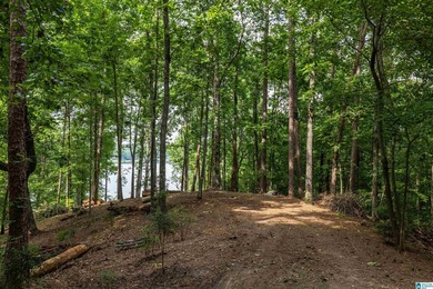 Located in the Highland Lake community in Oneonta, this 1.7 +/- - photo 19