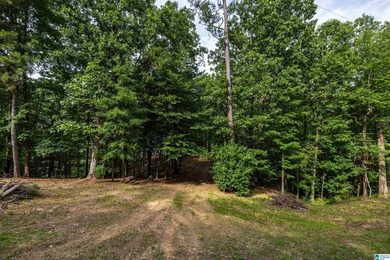 Located in the Highland Lake community in Oneonta, this 1.7 +/- - photo 20