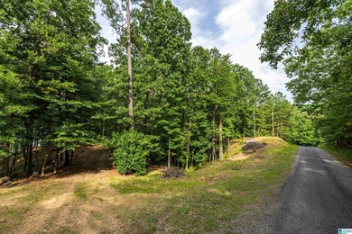 Located in the Highland Lake community in Oneonta, this 1.7 +/- - photo 21