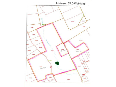 (private lake, pond, creek) Acreage For Sale in Palestine Texas