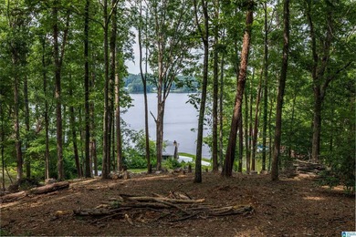 Located in the Highland Lake community in Oneonta, this 1.7 +/- - photo 22