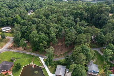 Located in the Highland Lake community in Oneonta, this 1.7 +/- - photo 23