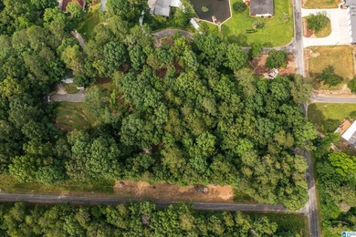 Located in the Highland Lake community in Oneonta, this 1.7 +/- - photo 30