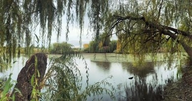 Lake Home For Sale in White City, Oregon