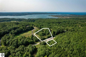 Lake Michigan - Manistee County Acreage For Sale in Arcadia Michigan
