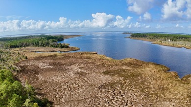 Neuse River Acreage For Sale in Grantsboro North Carolina