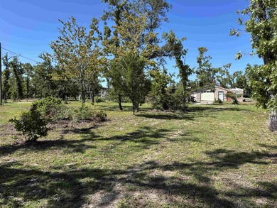 INCOME OPPORTUNITY WITH 4 POSSIBLE YEAR ROUND RV SPOTS ON 1 - photo 1