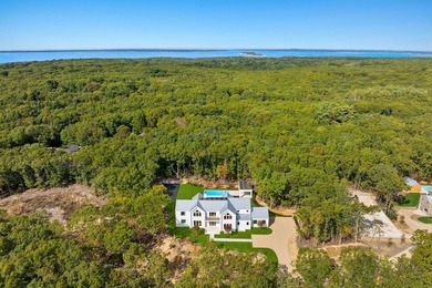 Welcome to your dream retreat in the heart of the Hamptons! This - photo 35