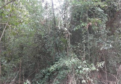 Lake Lot For Sale in Monticello, Georgia