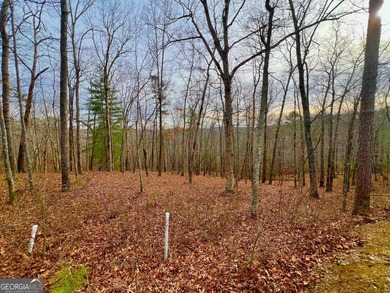 Carters Lake Lot For Sale in Ellijay Georgia