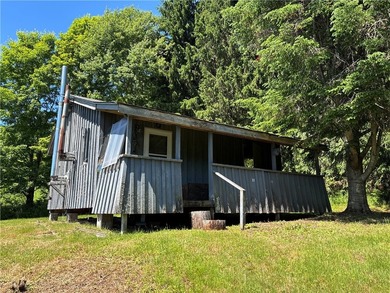 In the heart of the Catskills, this private mountain retreat - photo 4