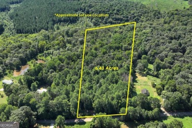 Lake Acreage For Sale in Danielsville, Georgia