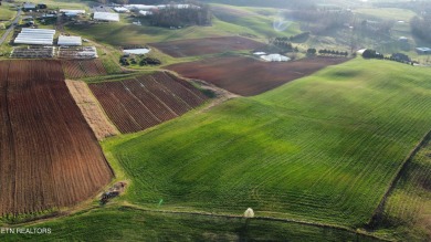 (private lake, pond, creek) Acreage For Sale in Rutledge Tennessee