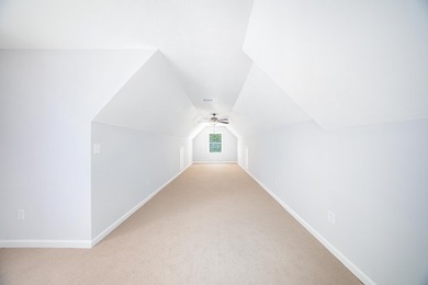 A Canopy of Live Oaks will greet you home at this rare - photo 21