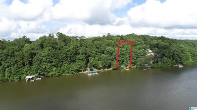 Move in ready 3 bedroom, 2.5 bath lake home on beautiful Lake - photo 24