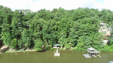 Move in ready 3 bedroom, 2.5 bath lake home on beautiful Lake - photo 25