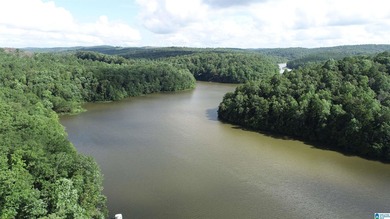 Move in ready 3 bedroom, 2.5 bath lake home on beautiful Lake - photo 29