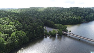 Move in ready 3 bedroom, 2.5 bath lake home on beautiful Lake - photo 30