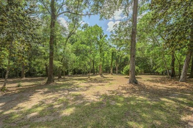 A Canopy of Live Oaks will greet you home at this rare - photo 35