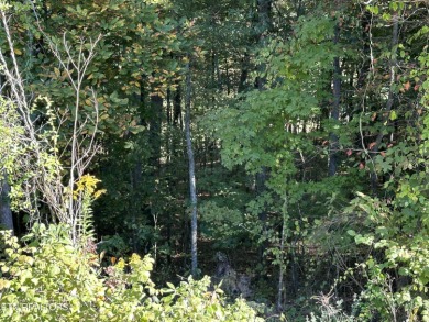 Watts Bar Lake Lot For Sale in Rockwood Tennessee