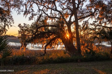 Rare and beautiful marsh-front lot now available with sweeping - photo 3