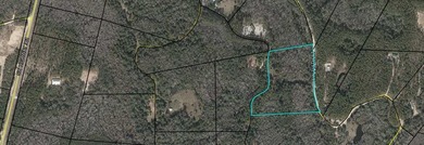 10 Wooded acres with a well and septic, some wetlands, and - photo 1