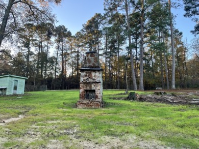 Caddo Lake Waterfront almost an acre - - Lake Lot For Sale in Karnack, Texas