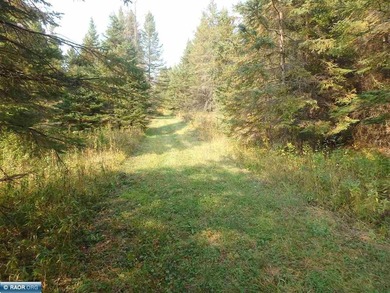 The Little Fork river is scenic and wild with areas of raging - photo 42