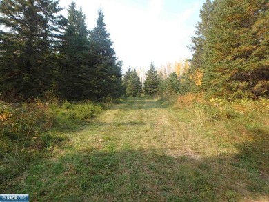 The Little Fork river is scenic and wild with areas of raging - photo 44