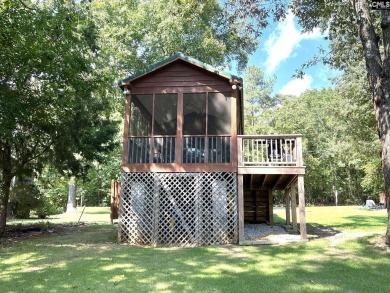 Lake Home For Sale in Leesville, South Carolina