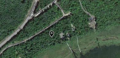 Imagine waking up to the sound of loons, surrounded by towering - photo 11
