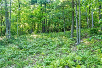 Imagine waking up to the sound of loons, surrounded by towering - photo 14