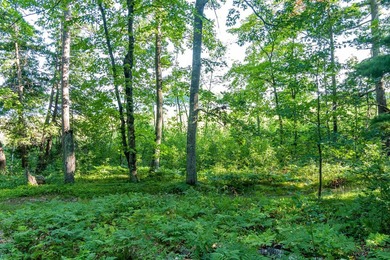 Imagine waking up to the sound of loons, surrounded by towering - photo 17
