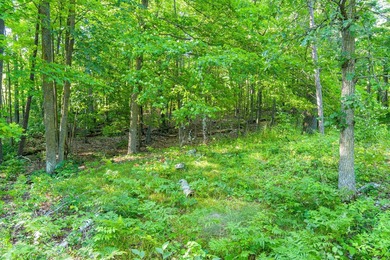 Imagine waking up to the sound of loons, surrounded by towering - photo 18